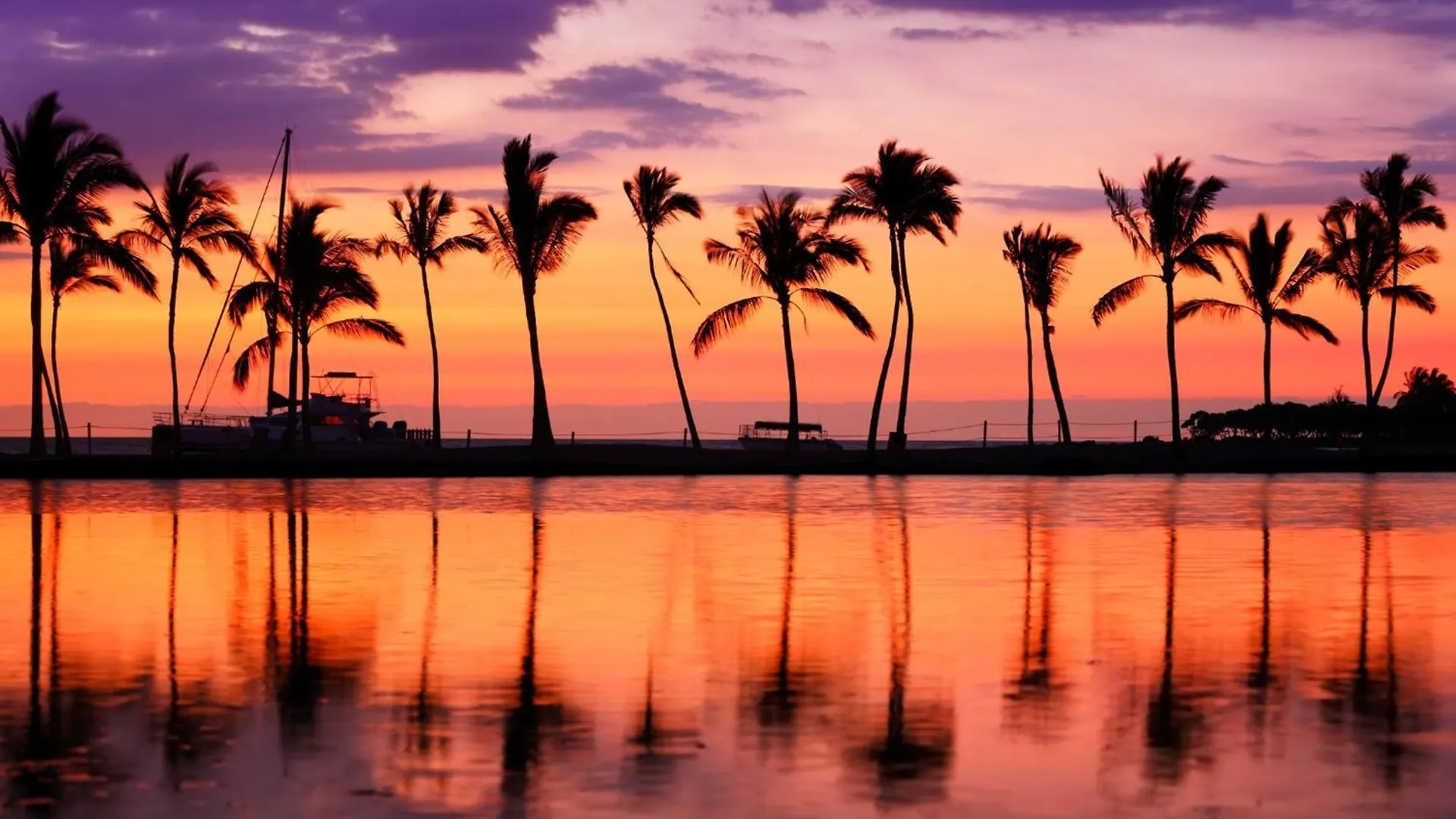 Diamond Head And Ocean View Condo With Parking Honolulu Holiday home